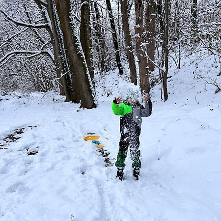 Srub V Bolkovskem Udoli Villa Rudník Buitenkant foto