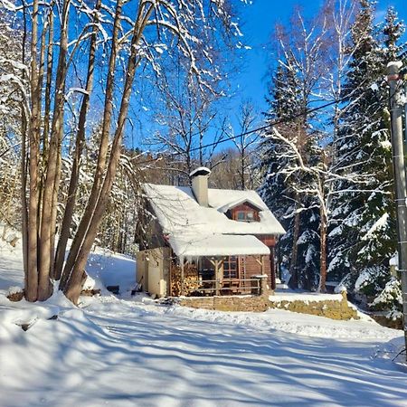 Srub V Bolkovskem Udoli Villa Rudník Buitenkant foto