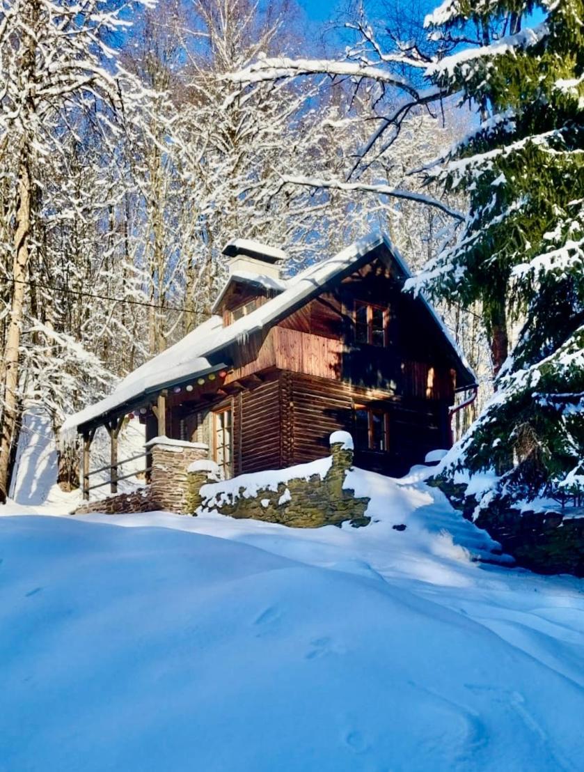 Srub V Bolkovskem Udoli Villa Rudník Buitenkant foto