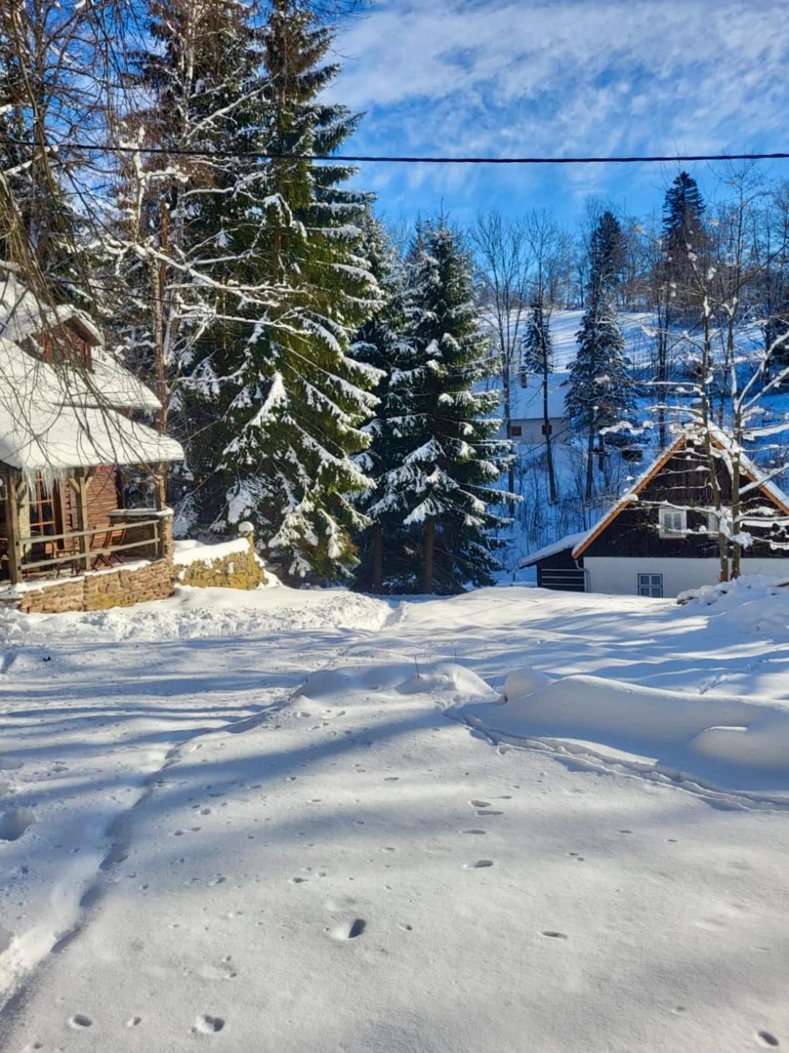Srub V Bolkovskem Udoli Villa Rudník Buitenkant foto
