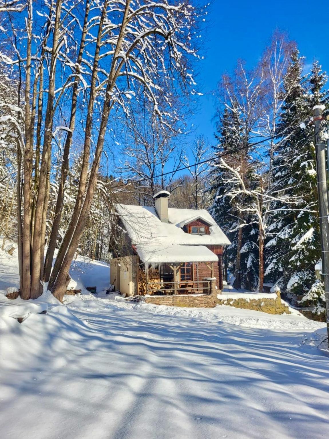 Srub V Bolkovskem Udoli Villa Rudník Buitenkant foto